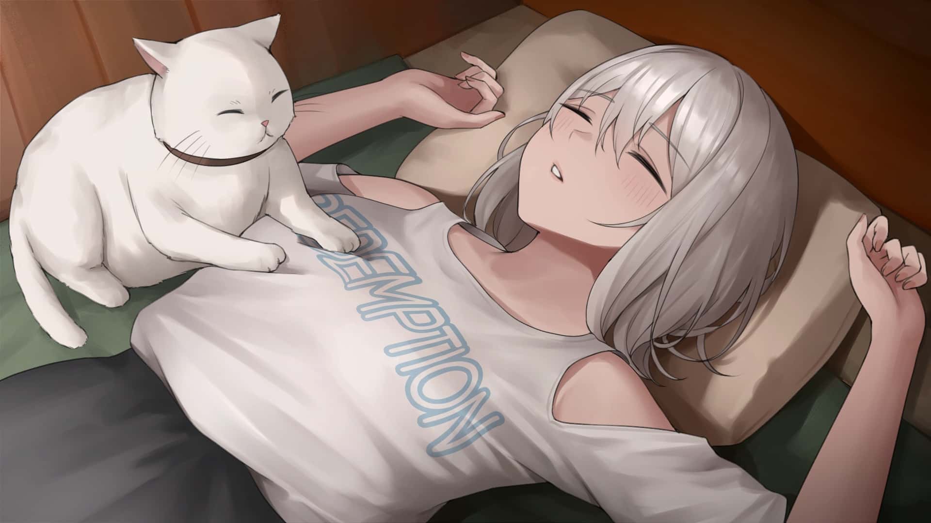 视觉数据4